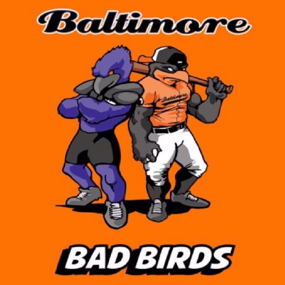 Baltimore Bad Birds Sport Teams Orange Short Sleeve T-Shirt - NEW Fast Ship - Picture 3 of 4